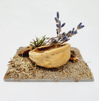 AntScape Biohobby 0123040101007