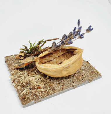 AntScape Biohobby 0123040101007