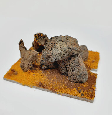 AntScape Biohobby 0123040103001