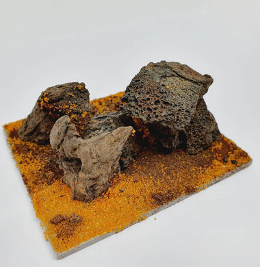 AntScape Biohobby 0123040103001