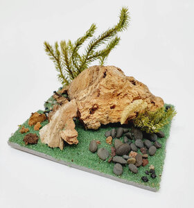 AntScape Biohobby 0123042801026