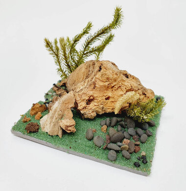 AntScape Biohobby 0123042801026