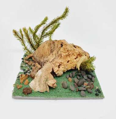 AntScape Biohobby 0123042801026