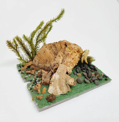 AntScape Biohobby 0123042801026