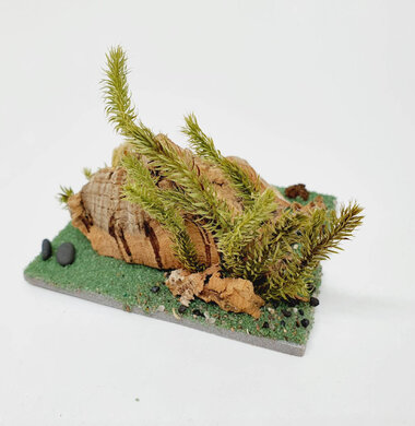 AntScape Biohobby 0123042801026