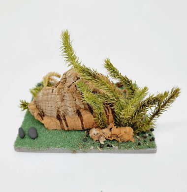 AntScape Biohobby 0123042801026