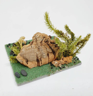 AntScape Biohobby 0123042801026