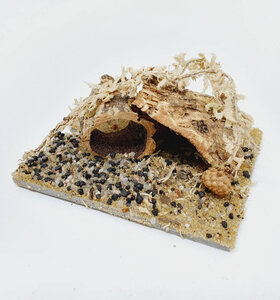 AntScape Biohobby 0123042801028