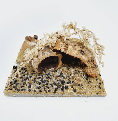 AntScape Biohobby 0123042801028