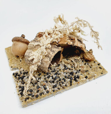 AntScape Biohobby 0123042801028