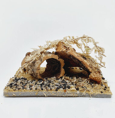 AntScape Biohobby 0123042801028