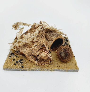 AntScape Biohobby 0123042801028