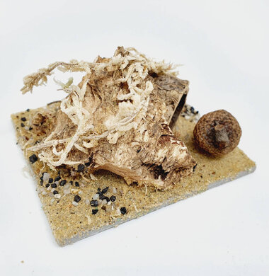 AntScape Biohobby 0123042801028