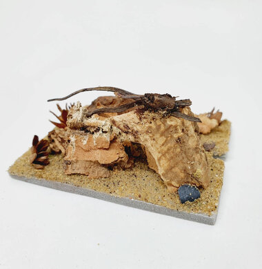 AntScape Biohobby 0123042801029