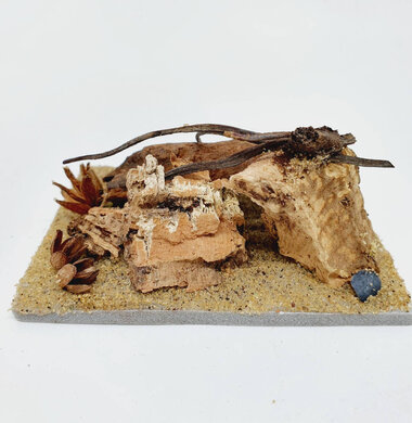 AntScape Biohobby 0123042801029