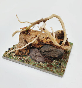 AntScape Biohobby 0123042801030