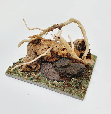 AntScape Biohobby 0123042801030