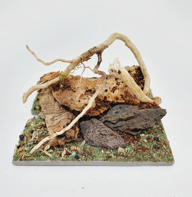 AntScape Biohobby 0123042801030