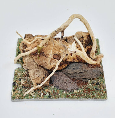 AntScape Biohobby 0123042801030