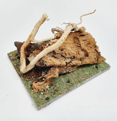 AntScape Biohobby 0123042801030