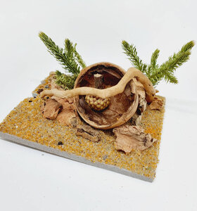 AntScape Biohobby 0123042801031