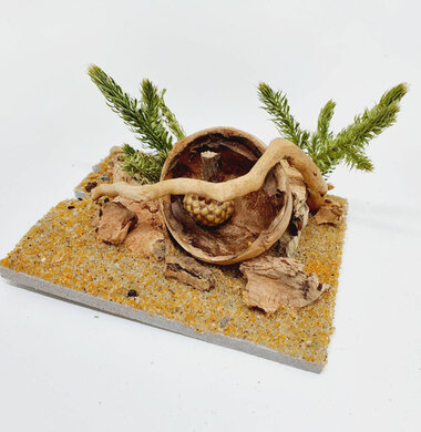 AntScape Biohobby 0123042801031