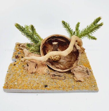 AntScape Biohobby 0123042801031