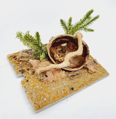 AntScape Biohobby 0123042801031