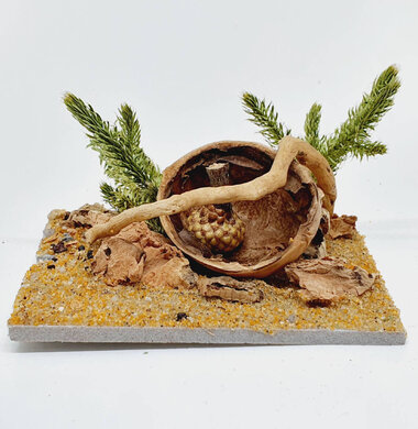 AntScape Biohobby 0123042801031