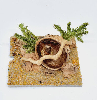 AntScape Biohobby 0123042801031