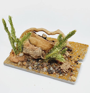 AntScape Biohobby 0123042801031