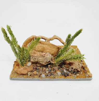 AntScape Biohobby 0123042801031