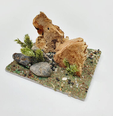 AntScape Biohobby 0123042801035