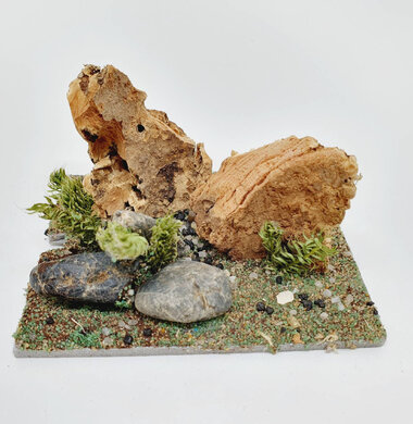 AntScape Biohobby 0123042801035