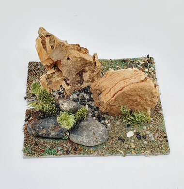 AntScape Biohobby 0123042801035