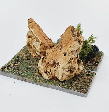 AntScape Biohobby 0123042801035