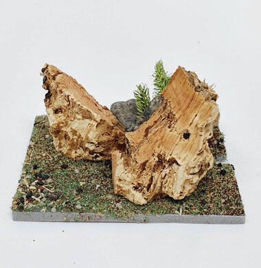 AntScape Biohobby 0123042801035