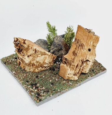 AntScape Biohobby 0123042801035