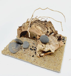 AntScape Biohobby 0123042801038