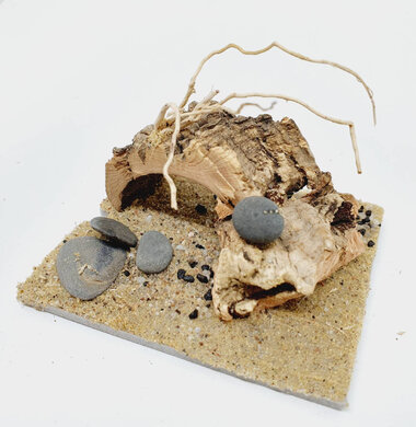 AntScape Biohobby 0123042801038