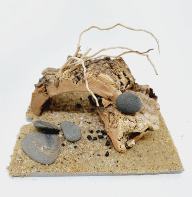 AntScape Biohobby 0123042801038