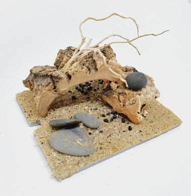 AntScape Biohobby 0123042801038