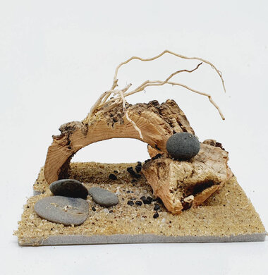 AntScape Biohobby 0123042801038