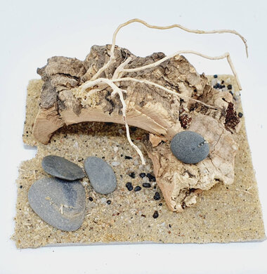 AntScape Biohobby 0123042801038