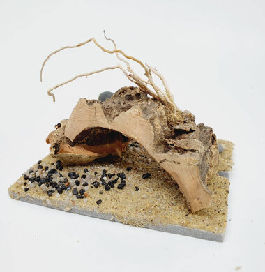 AntScape Biohobby 0123042801038