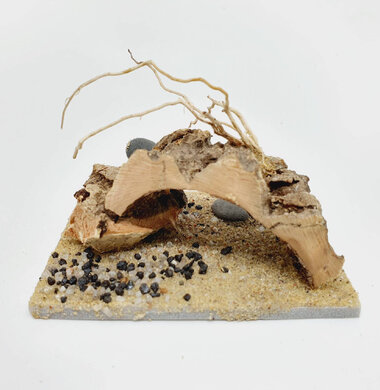 AntScape Biohobby 0123042801038