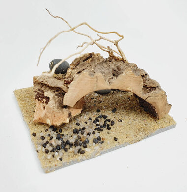 AntScape Biohobby 0123042801038