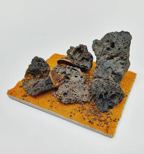 AntScape Biohobby 0123042804034