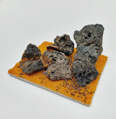 AntScape Biohobby 0123042804034