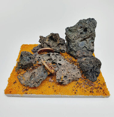 AntScape Biohobby 0123042804034